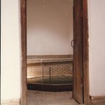 yazd,masjede jame kabir